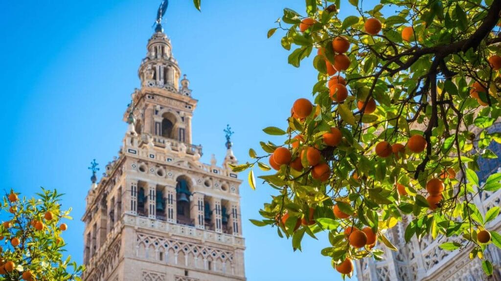Giralda, Seville and orange tree courtyard.