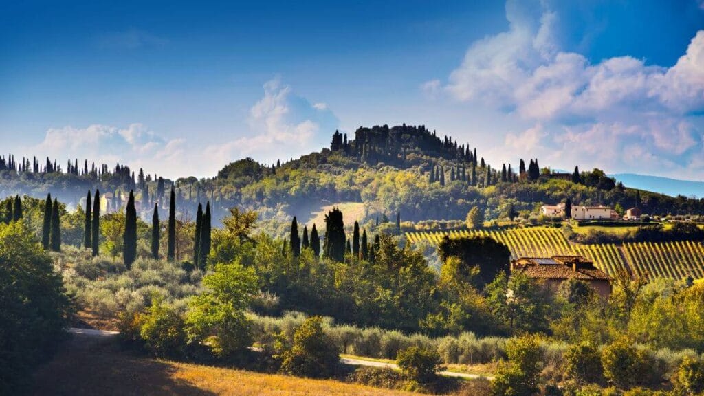 Scenic view of a vineyard in Tuscany, Italy.